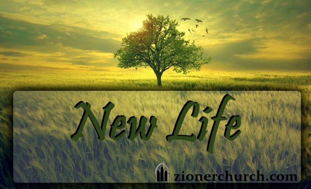newlifezion